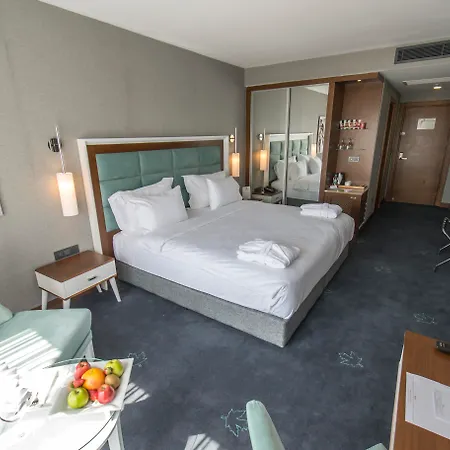 Premier 5* ساكاريا