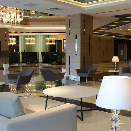 Premier فندق ساكاريا