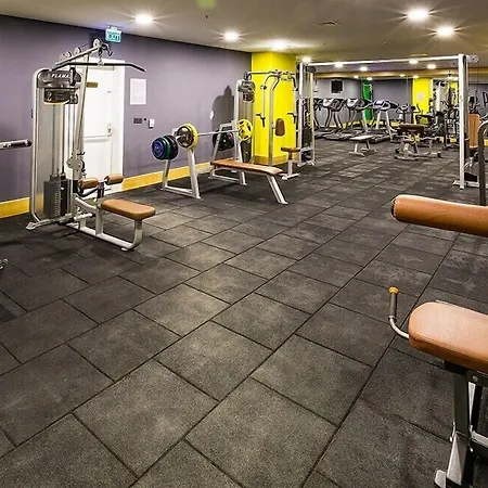 Premier ساكاريا