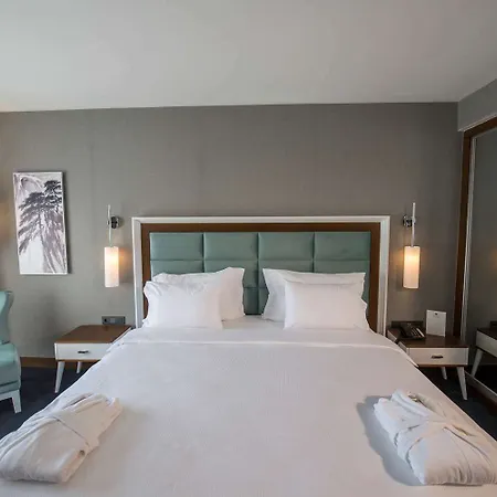 Premier Hotel Sakarya (Marmara)