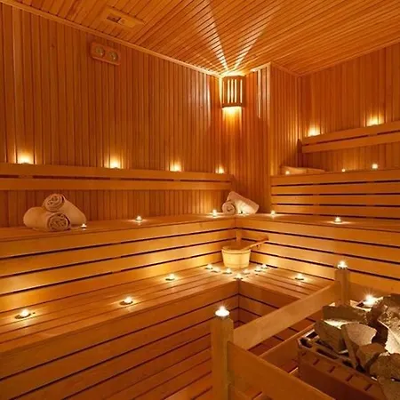 Premier ساكاريا